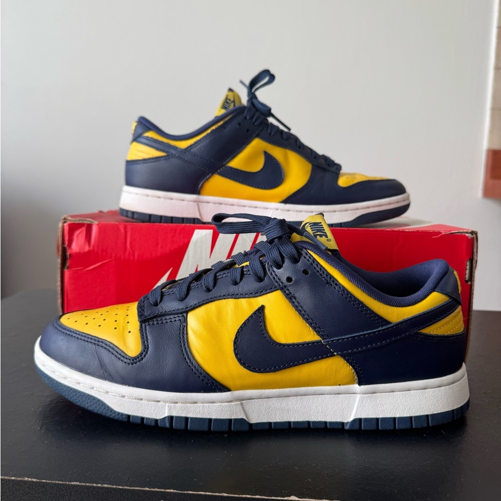 Nike Dunk (Michigan)